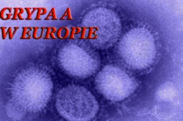 Czechy: władze informują - to już epidemia grypy