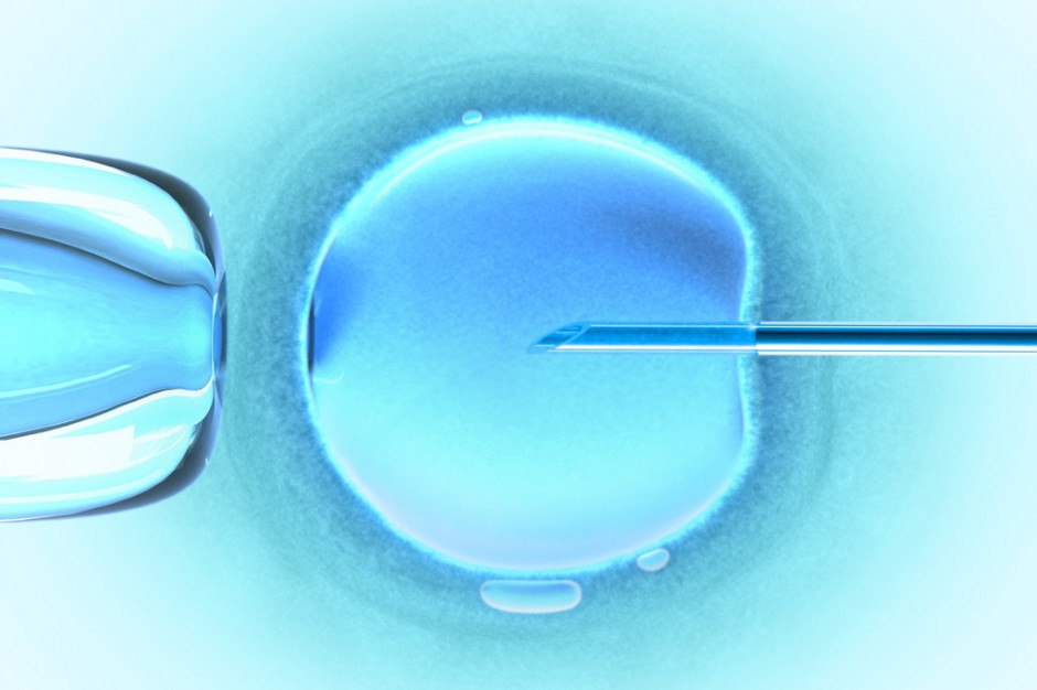 Szczecin: nie będzie (na razie) uchwały ws. dofinansowania in vitro