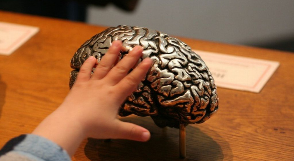 Nauka: rozpoczyna się Światowy Tydzień Mózgu