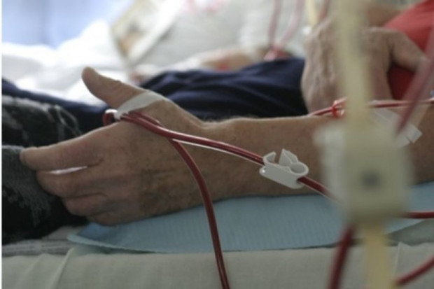 Małopolskie: kampania Myśl Zdrowo i III Małopolski Dzień Nerek