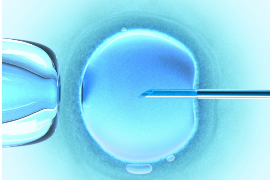Śląsk: uniwersytet podpisał umowę dotyczącą zajęć w ośrodku przeprowadzającym in vitro