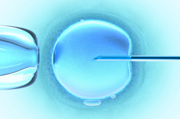 Ministerstwo Zdrowia czeka na kliniki chętne do leczenia metodą in vitro