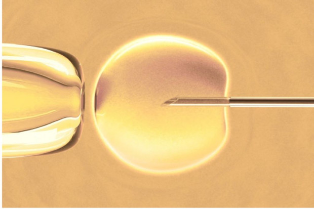 Opole: 2 mln zł na ponad 200 zabiegów in vitro