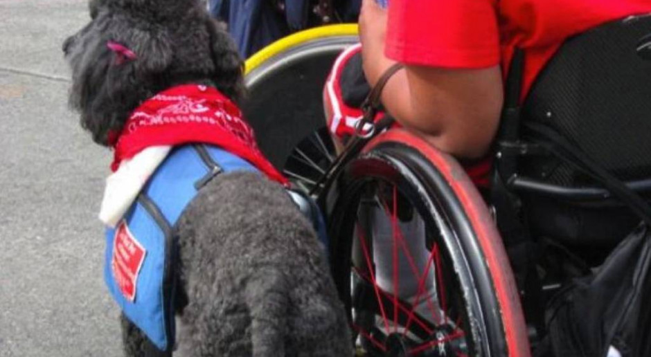 Płock: niepełnosprawni wzięli miasto pod lupę