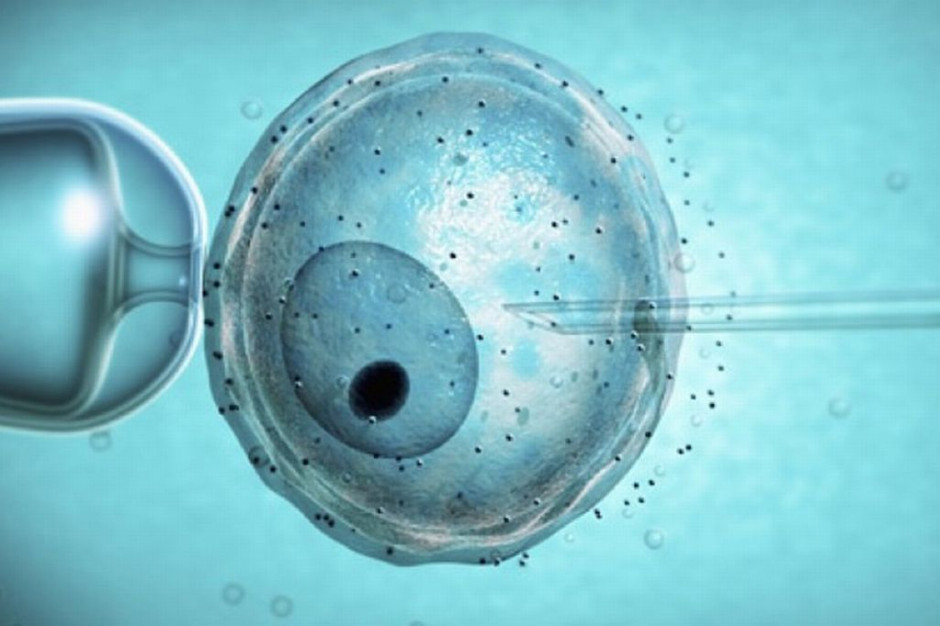 Łódź: milion złotych na in vitro