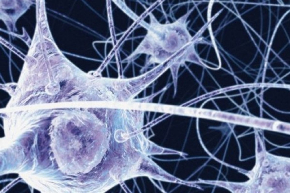 Badania: dlaczego leki stosowane w terapii choroby Alzheimera nie działają?