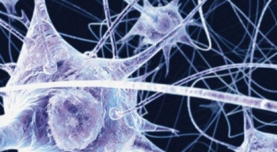 Badania: dlaczego leki stosowane w terapii choroby Alzheimera nie działają?