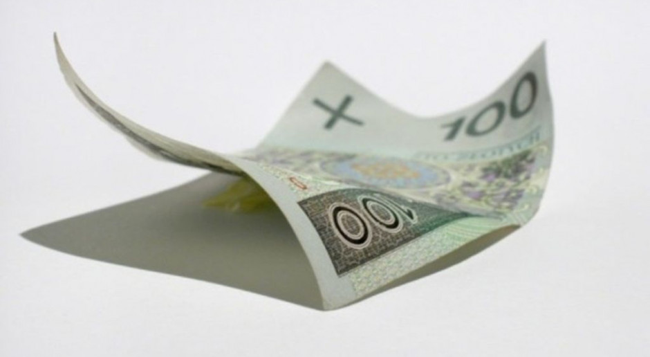PPOZ: plan finansowy na 2014 r. nie uwzględnia nawet inflacji