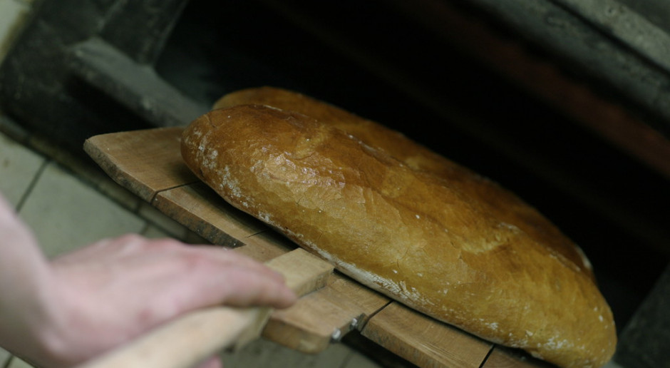 Zdrowy chleb - prosto z laboratorium?