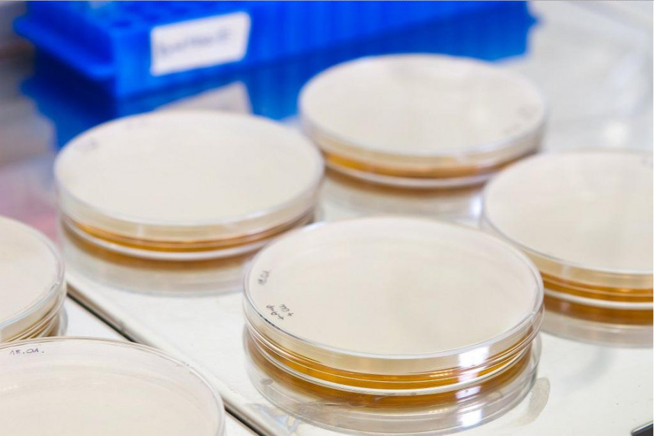 PMR o rynku biosimilarów: polskie firmy mało konkurencyjne