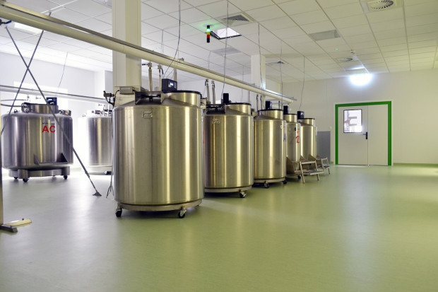 Warszawa: powstało laboratorium preparowania krwi pępowinowej