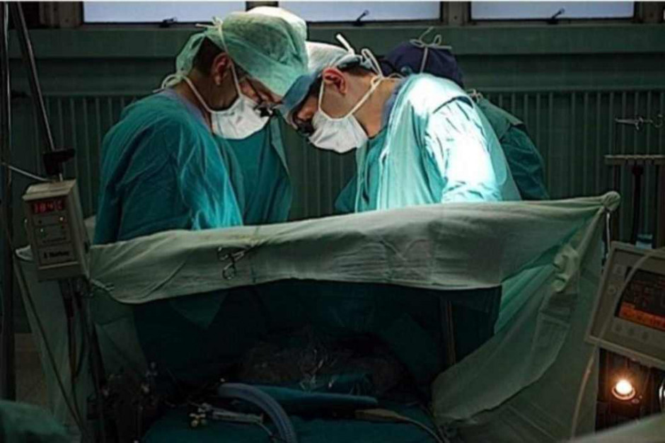 Ogólnopolski Dzień Transplantacji: w Polsce żyje 3446 osób po przeszczepieniu narządów