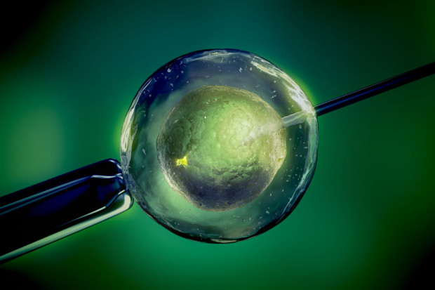 Wielka Brytania: in vitro z DNA od trzech osób