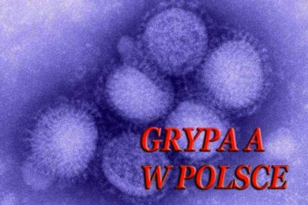 Lubuskie: nie ma (na razie) problemu tzw. świńskiej grypy