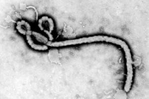 Odkrywca eboli o koronawirusie: stanowi znacznie poważniejsze zagrożenie