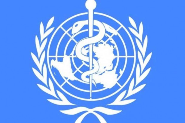 WHO: przerażająca epidemia Eboli w Afryce Zachodniej
