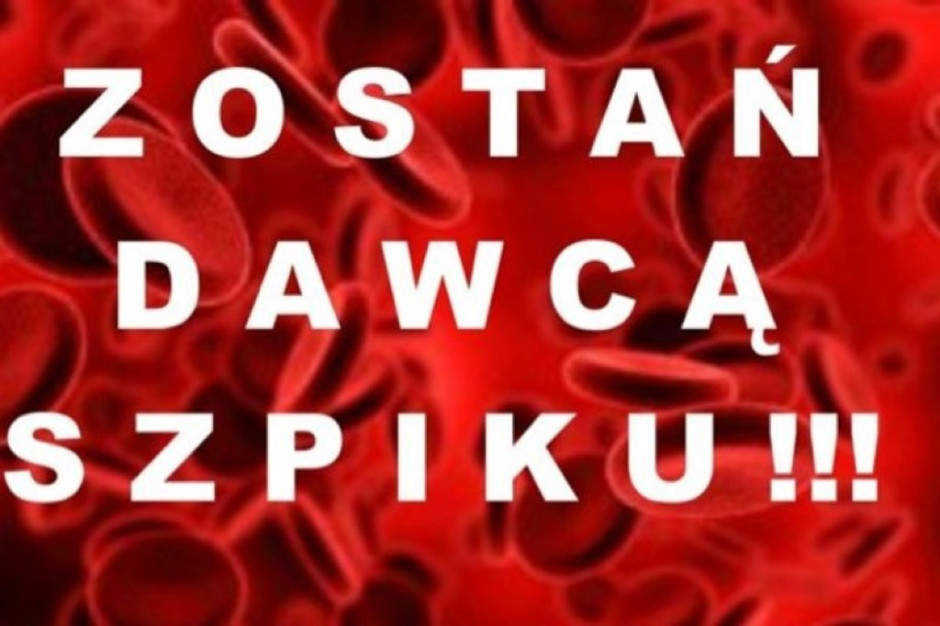 Zielona Góra: w niedzielę Dzień Dawcy Szpiku