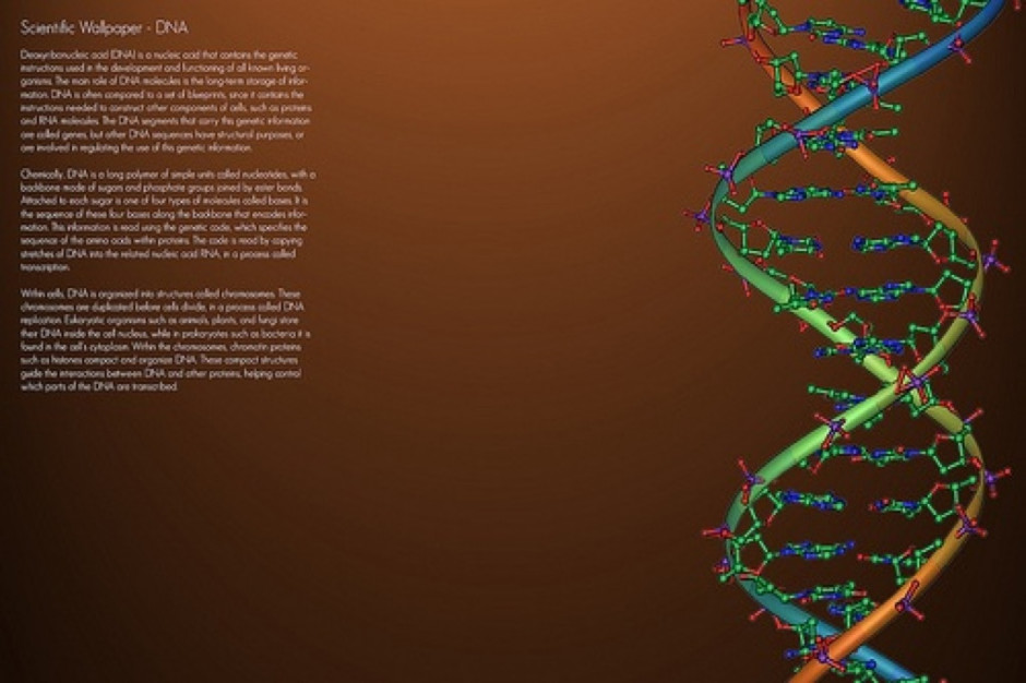 Łódź: urządzenie do pomiaru DNA w prezencie dla "Matki Polki"