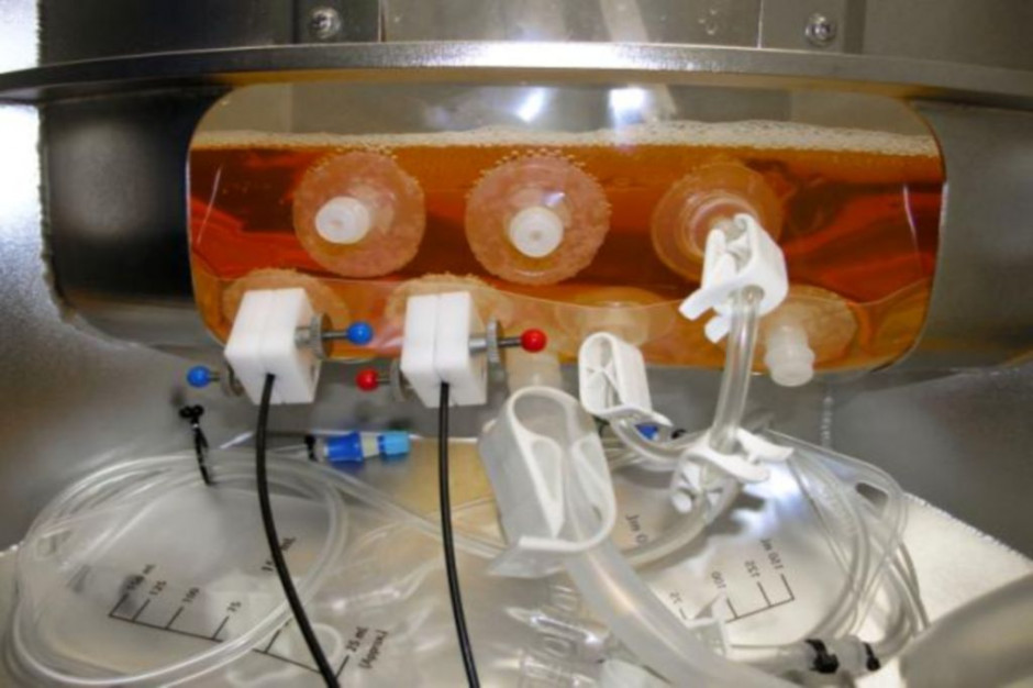 Hodowla komórek w nowym prototypie bioreaktora