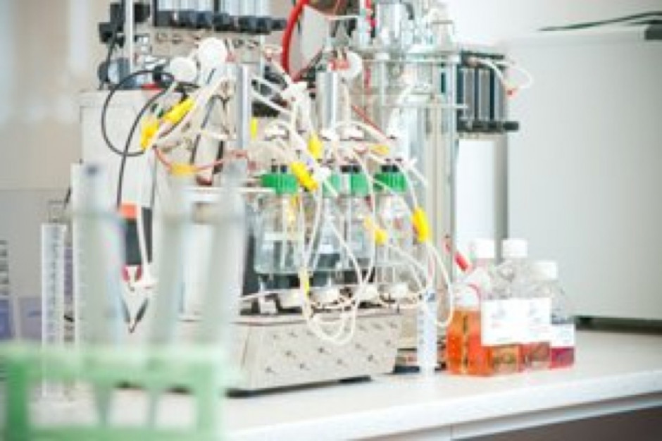 Mabion: ponad 53 mln zł z nowej emisji