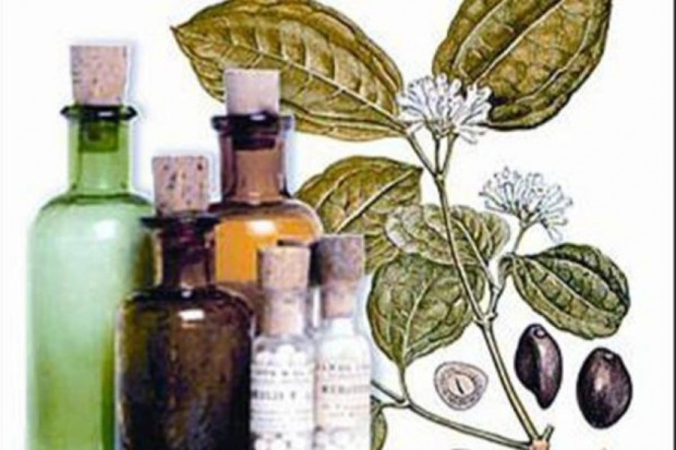 Homeopatia dzieli środowisko lekarzy