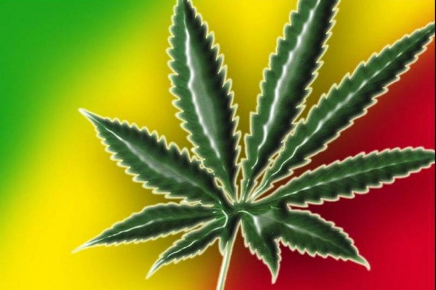 USA: bilans po pół roku od legalizacji marihuany w Kolorado