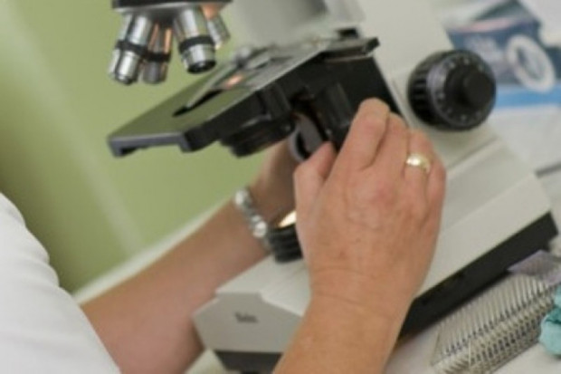 Substancje aktywne biologicznie z morskich organizmów nadzieją medycyny?
