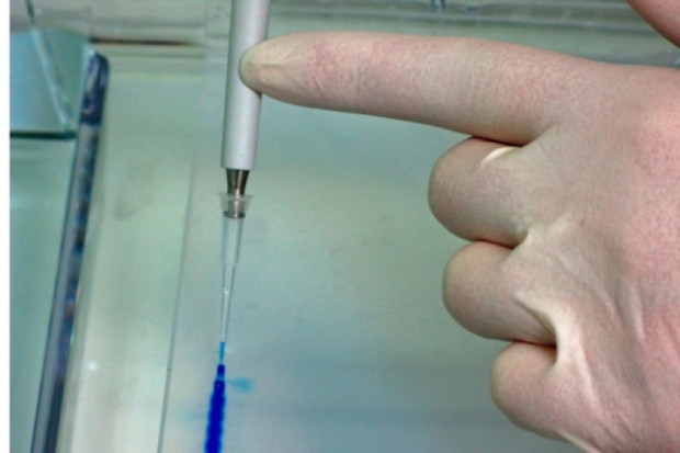 Jest szansa na szczepionkę przeciwko wirusowi Ebola