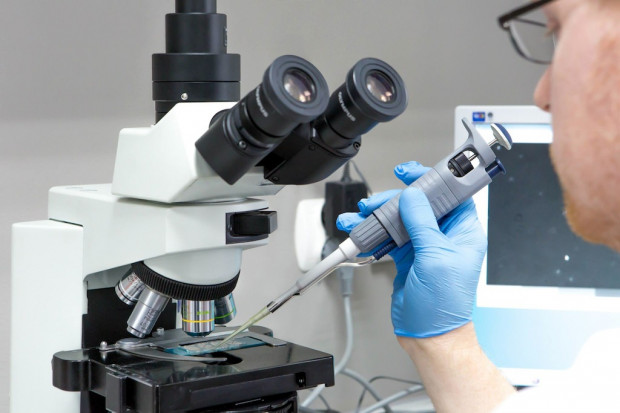 Jedna z poprawek ma dać prawo do korzystania z in vitro jedynie małżeństwom, Fot. archiwum RZ Senat rozpatruje ustawę o in vitro