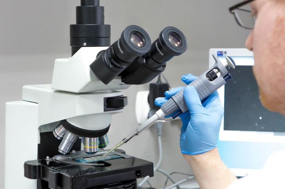 Jedna z poprawek ma dać prawo do korzystania z in vitro jedynie małżeństwom, Fot. archiwum RZ Senat rozpatruje ustawę o in vitro