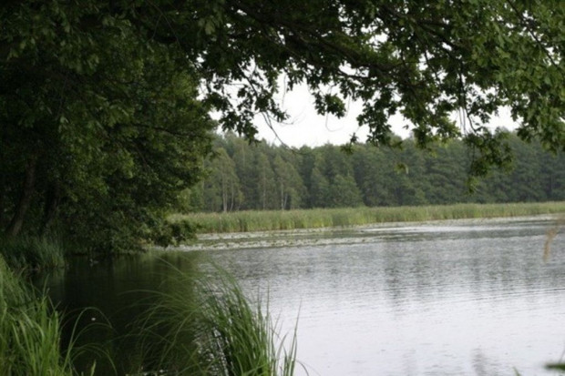 Lecznicza roślina odkryciem botanicznym na Mazurach