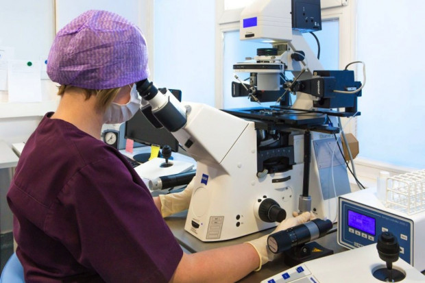W zeszłym tygodniu urzędnicy w Sosnowcu podjęli decyzję, dotyczącą realizatorów miejskiego programu in vitro. Fot. Gyncentrum Klinika Gyncentrum składa skargę na urzędników z Sosnowca