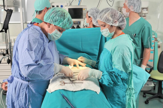 Od biologii molekularnej po opatrunki z łożyska - jak leczą poparzonych górników