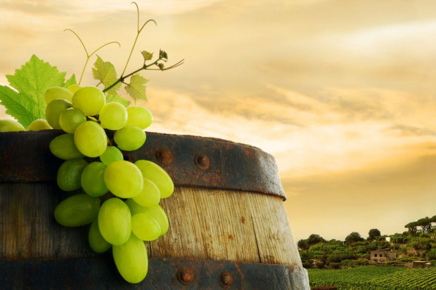 Wino chroni nasze neurony. Fot. Fotolia Wino chroni nasze neurony