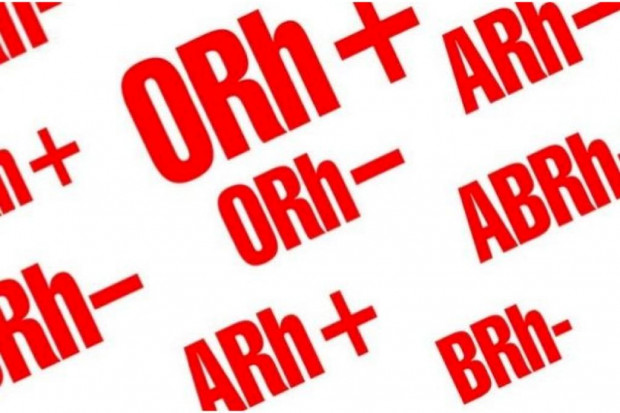 Brakuje krwi grup A Rh-, B Rh- i O Rh- Fot. Archiwum RZ Wrocław: brakuje krwi grupy Rh-