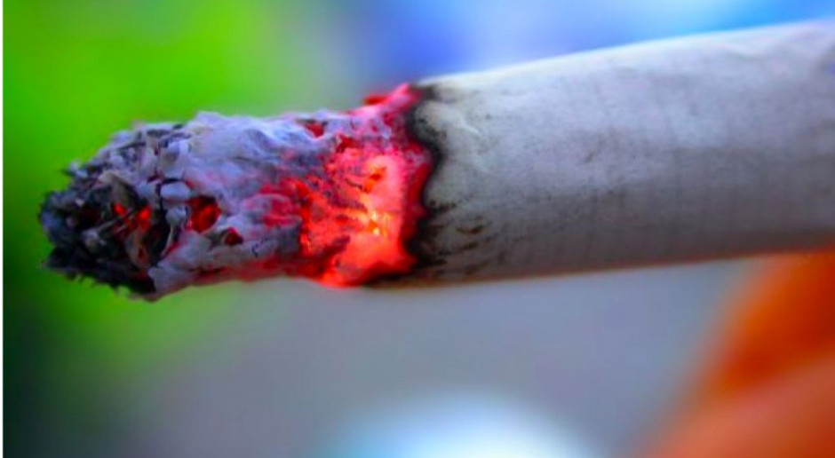 Raport: Polska drugim producentem wyrobów tytoniowych w UE, ale - na szczęście - wypalamy co 5 z tych papierosów