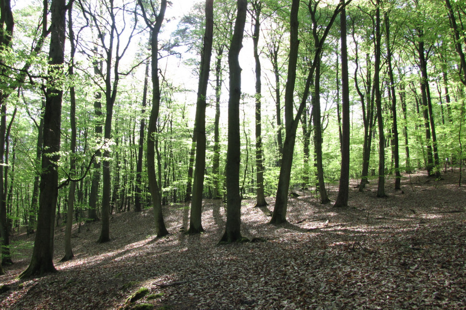 Upały w Beskidach; goprowcy apelują do turystów o rozwagę na szlaku. Fot. Marcin Polak/Flickr.com (CC BY 2.0) Upały w Beskidach; goprowcy apelują do turystów o rozwagę na szlaku