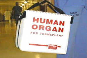 Naukowcy i klinicyści z Gdańska opracowali innowacyjny płyn do przechowywania narządów do transplantacji