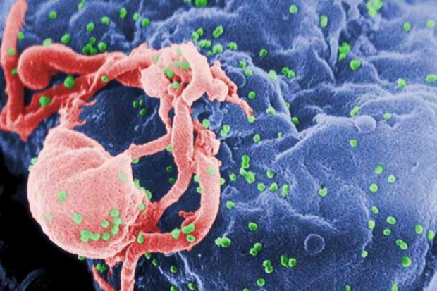 Wirus HIV. Fot. archiwum RZ WHO: wszyscy zakażeni HIV powinni być od razu objęci leczeniem