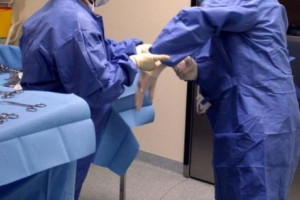 Śląskie: naukowcy opatentowali powłokę noża chirurgicznego tnącego nerwy obwodowe