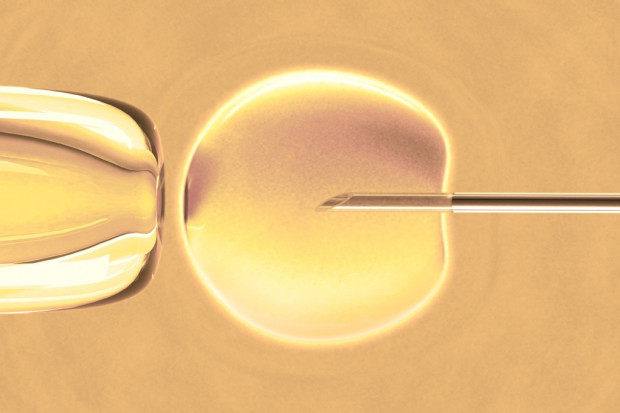 Fot. Fotolia Lublin: ile par ma szansę na refundację in vitro?