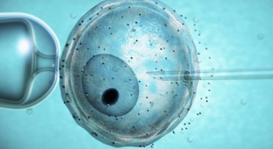Fot. Archiwum MZ o środkach finansowych w rządowym programie dot. in vitro