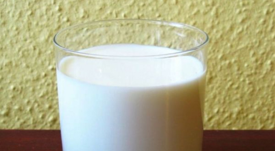 Mleczarze: rządowe środki na dostarczanie mleka do szkół są niewystarczające