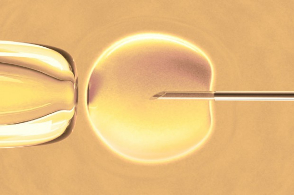 Fot. Fotolia Premier zapowiada: nie będzie dyscypliny partyjnej w sprawie in vitro