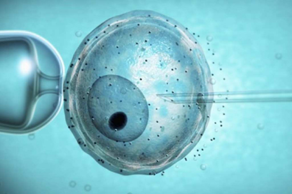 76 proc. Polaków akceptuje in vitro dla małżeństw