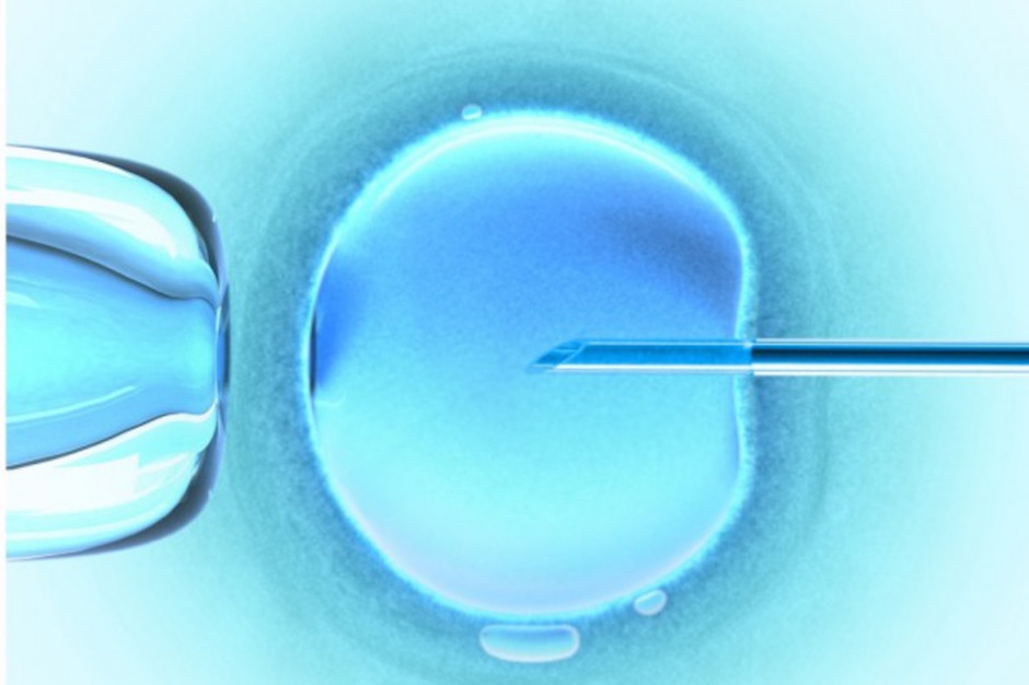 Senacka komisja zdrowia za odrzuceniem ustawy o in vitro, Fot. Fotolia Senacka komisja zdrowia za odrzuceniem ustawy o in vitro