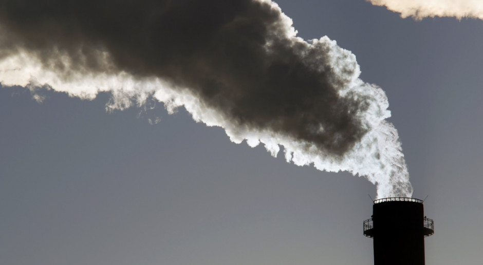 WHO alarmuje: zanieczyszczone powietrze zagraża zdrowiu dzieci