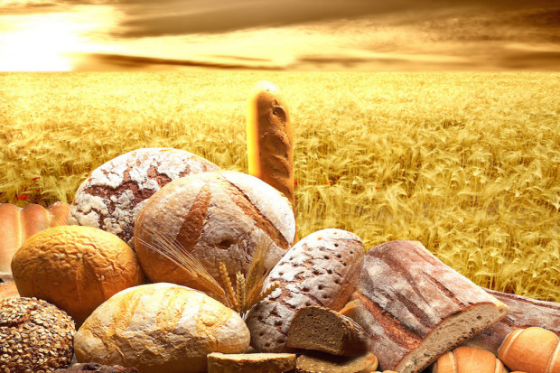 Dzięki glutenowi bochenki chleba są ładne, miękkie i chrupiące Fot. Fotolia Specjalistka: dieta bezglutenowa jako sposób na schudnięcie - niekorzystna dla organizmu