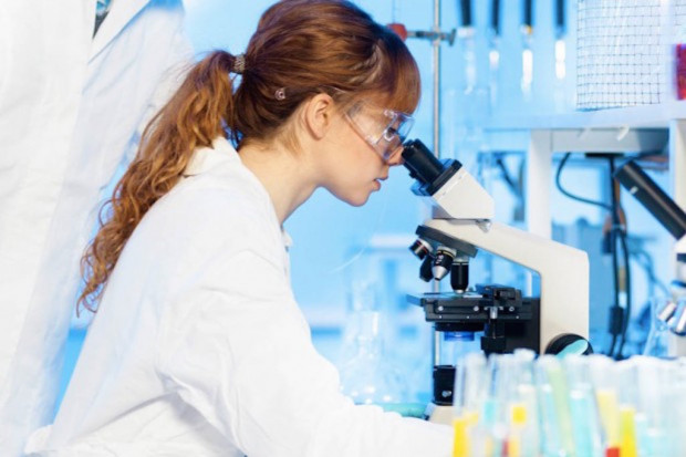 Fot. Fotolia Toruń: przepisy blokują pracę Interdyscyplinarnego Centrum Nowoczesnych Technologii