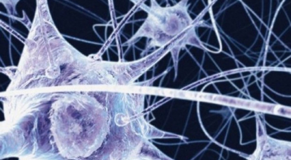 Choroba Alzheimera: śmierć neuronów nie jest szkodliwa, wręcz przeciwnie